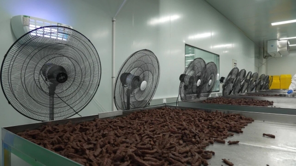 开发区肉牛产品 以“牛”品质征服全国市场